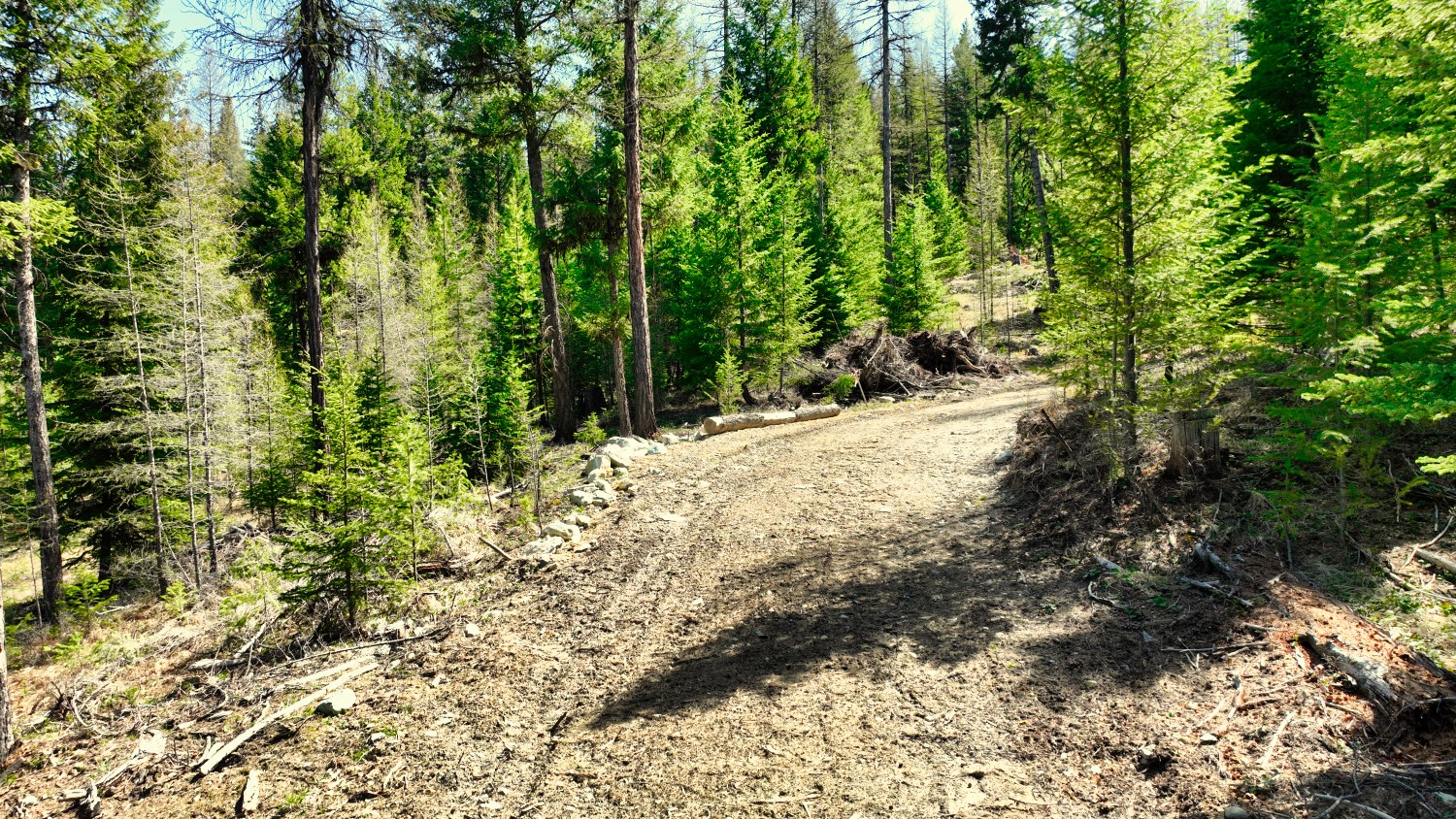 1350 Quaking Aspen Court