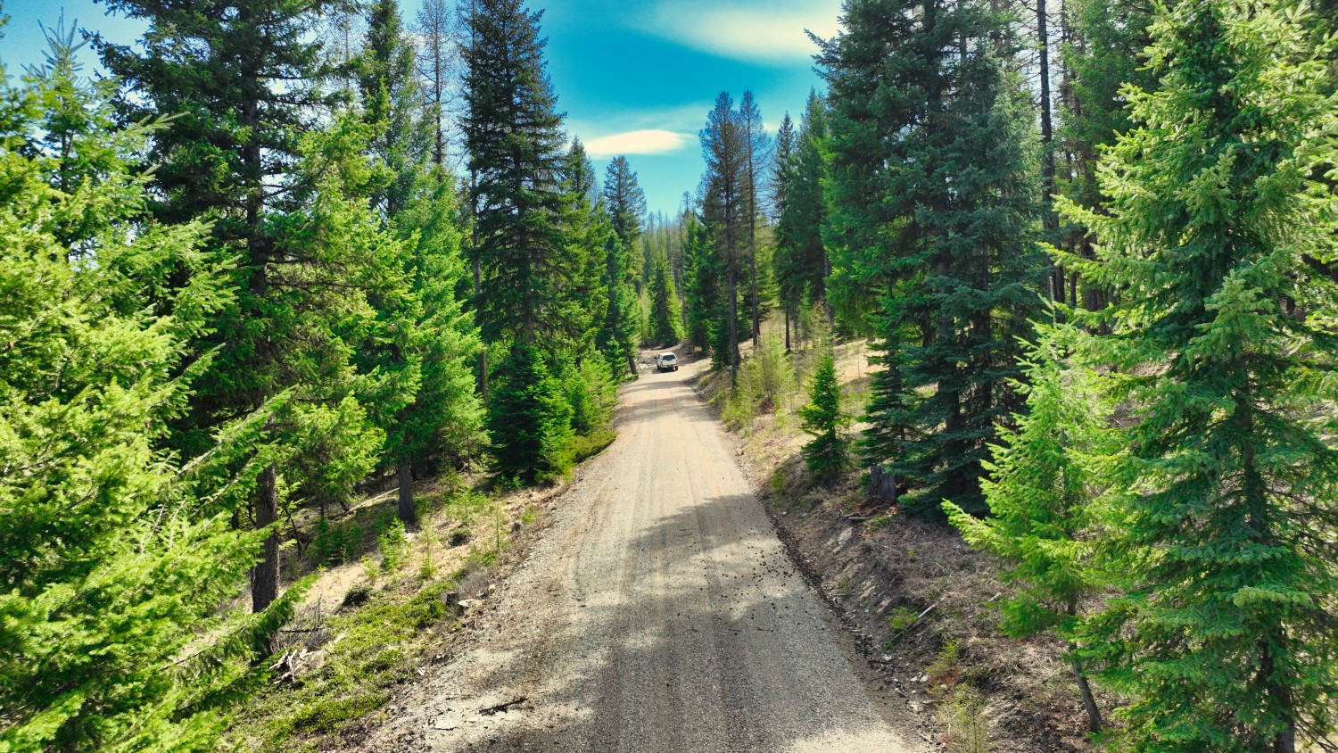 1350 Quaking Aspen Court