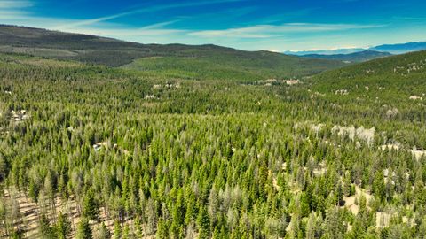 Tiny photo for 1350 Quaking Aspen Court, Rexford, MT 59930 (MLS # 30069367)