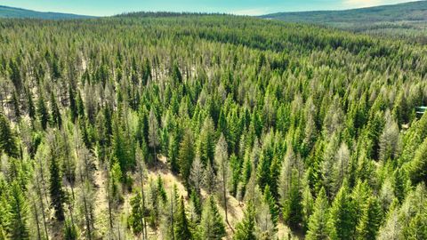 Tiny photo for 1350 Quaking Aspen Court, Rexford, MT 59930 (MLS # 30069367)