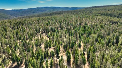 Tiny photo for 1350 Quaking Aspen Court, Rexford, MT 59930 (MLS # 30069367)