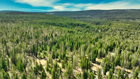 Tiny photo for 1350 Quaking Aspen Court, Rexford, MT 59930 (MLS # 30069367)