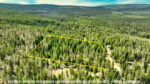 Tiny photo for 1350 Quaking Aspen Court, Rexford, MT 59930 (MLS # 30069367)