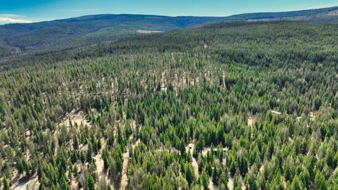Tiny photo for 1350 Quaking Aspen Court, Rexford, MT 59930 (MLS # 30069367)