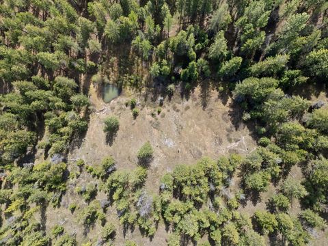 Tiny photo for 73625 Arlee Pines Drive, Arlee, MT 59821 (MLS # 30069328)