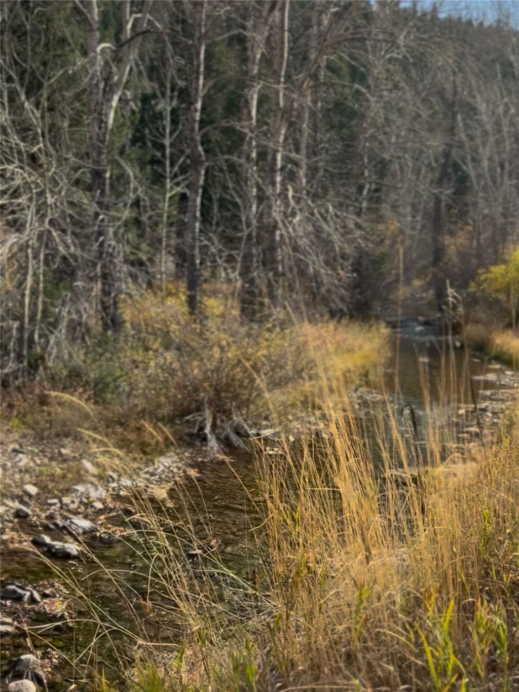 Photo of TBD Hwy 200, Wolf Creek, MT 59648 (MLS # 30078812)