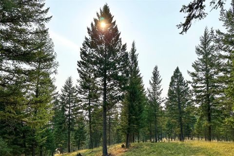 30.25 Acres Fortine Creek Road Trego MT 59934