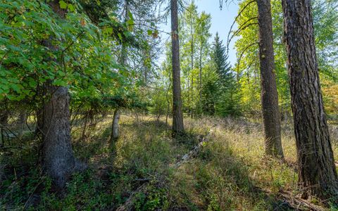 Tiny photo for 1000 Colorado Avenue, Whitefish, MT 59937 (MLS # 30056521)