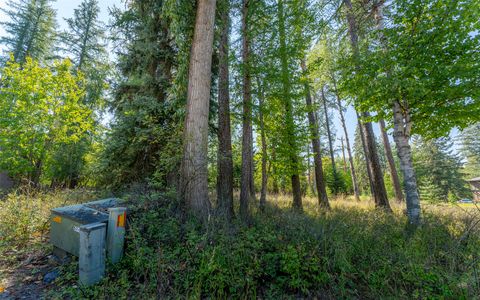 Tiny photo for 1000 Colorado Avenue, Whitefish, MT 59937 (MLS # 30056521)