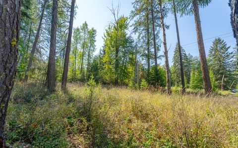 Tiny photo for 1000 Colorado Avenue, Whitefish, MT 59937 (MLS # 30056521)
