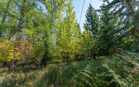 Tiny photo for 1000 Colorado Avenue, Whitefish, MT 59937 (MLS # 30056521)