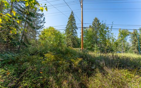 Tiny photo for 1000 Colorado Avenue, Whitefish, MT 59937 (MLS # 30056521)