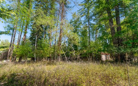 Tiny photo for 1000 Colorado Avenue, Whitefish, MT 59937 (MLS # 30056521)