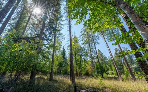 Tiny photo for 1000 Colorado Avenue, Whitefish, MT 59937 (MLS # 30056521)