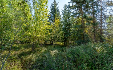 Tiny photo for 1000 Colorado Avenue, Whitefish, MT 59937 (MLS # 30056521)
