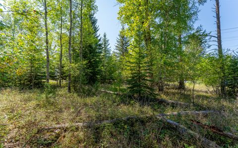 Tiny photo for 1000 Colorado Avenue, Whitefish, MT 59937 (MLS # 30056521)