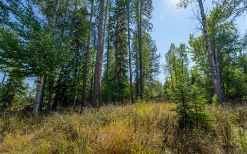 Tiny photo for 1000 Colorado Avenue, Whitefish, MT 59937 (MLS # 30056521)