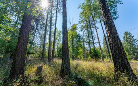 Tiny photo for 1000 Colorado Avenue, Whitefish, MT 59937 (MLS # 30056521)