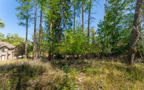 Tiny photo for 1000 Colorado Avenue, Whitefish, MT 59937 (MLS # 30056521)