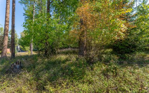 Tiny photo for 1000 Colorado Avenue, Whitefish, MT 59937 (MLS # 30056521)