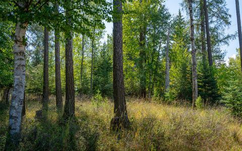 Tiny photo for 1000 Colorado Avenue, Whitefish, MT 59937 (MLS # 30056521)