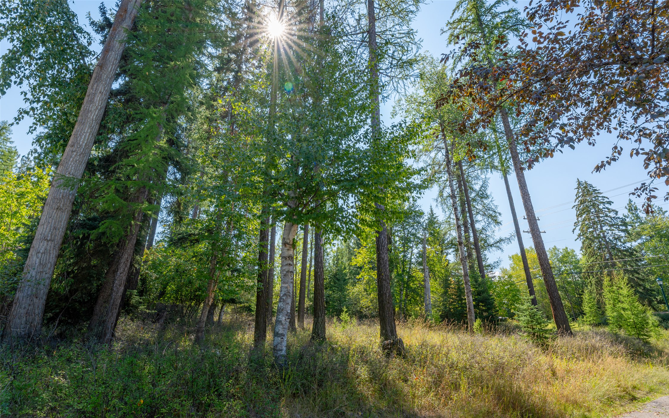 Photo 1 of 36 — 1000 Colorado Avenue, Whitefish, MT 59937