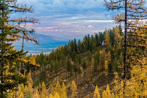 Tiny photo for 296 Northern Lights Drive, Whitefish, MT 59937 (MLS # 30060034)