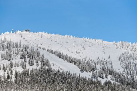 Tiny photo for 296 Northern Lights Drive, Whitefish, MT 59937 (MLS # 30060034)