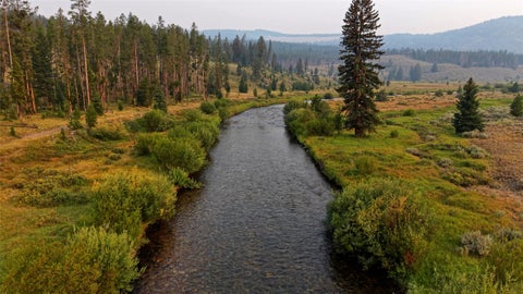 Tiny photo for 36 Diamond Sky Lane, Philipsburg, MT 59858 (MLS # 30076679)
