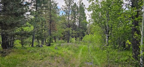 Tiny photo for Tract 11 Hall Creek, Helmville, MT 59843 (MLS # 30071644)
