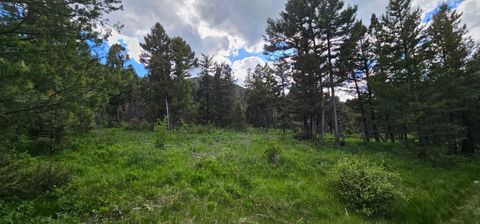 Tiny photo for Tract 11 Hall Creek, Helmville, MT 59843 (MLS # 30071644)