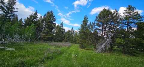 Tiny photo for Tract 11 Hall Creek, Helmville, MT 59843 (MLS # 30071644)