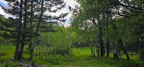Tiny photo for Tract 11 Hall Creek, Helmville, MT 59843 (MLS # 30071644)