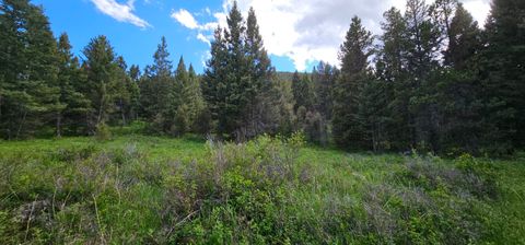 Photo of Tract 11 Hall Creek, Helmville, MT 59843 (MLS # 30071644)