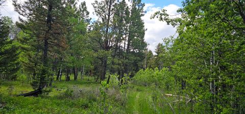 Tiny photo for Tract 11 Hall Creek, Helmville, MT 59843 (MLS # 30071644)