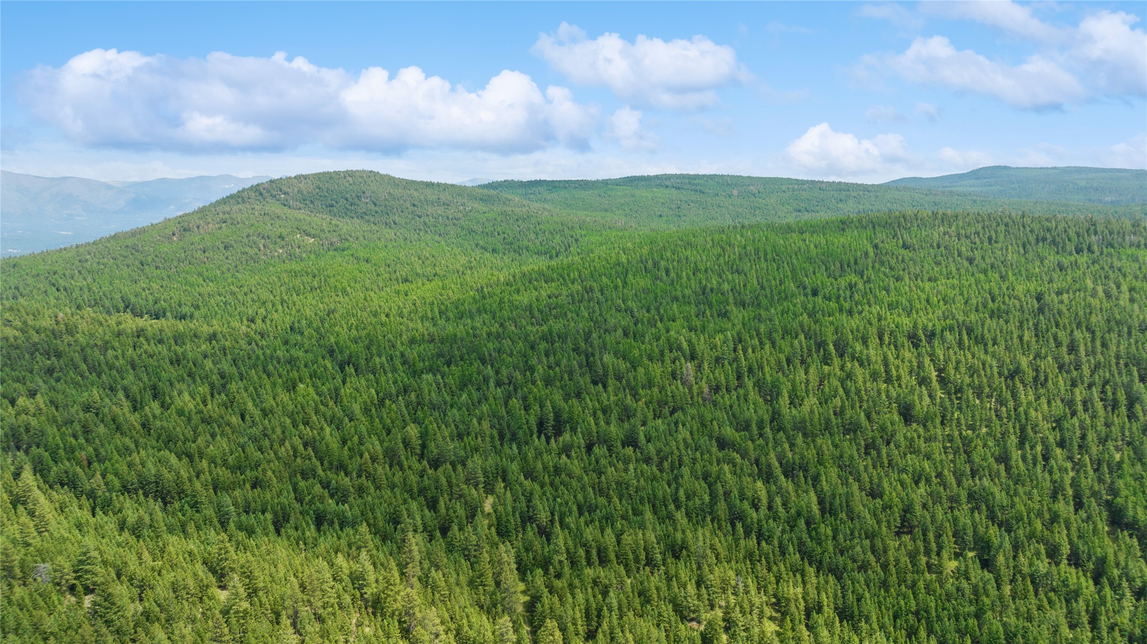 nhn 540 Pinkham creek Road