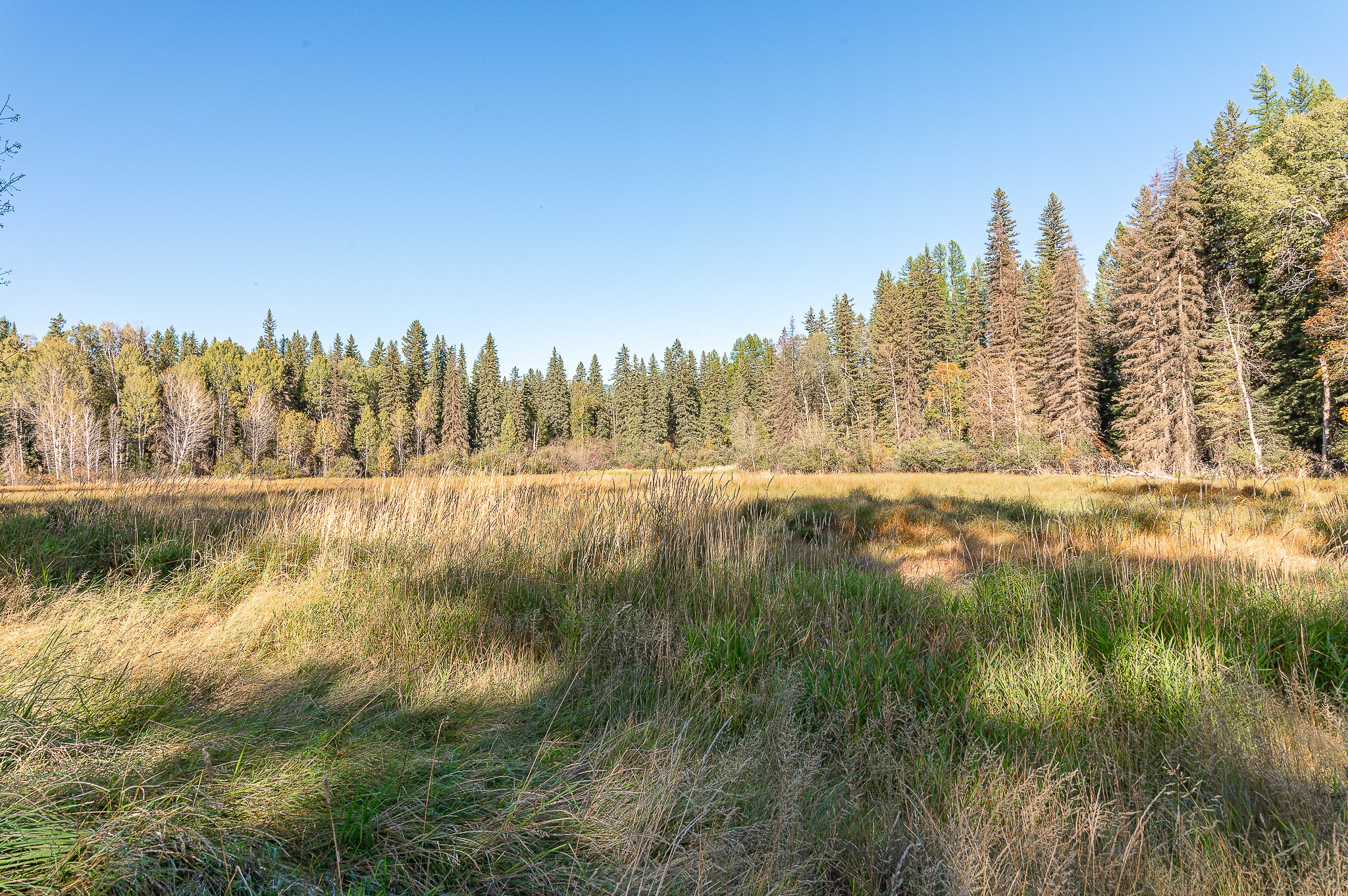 675 Beaver Lake Road