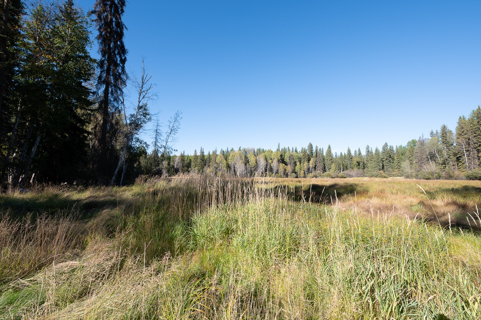 675 Beaver Lake Road