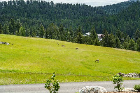 Tiny photo for 150 Granite Hill Road, Kalispell, MT 59901 (MLS # 30071189)
