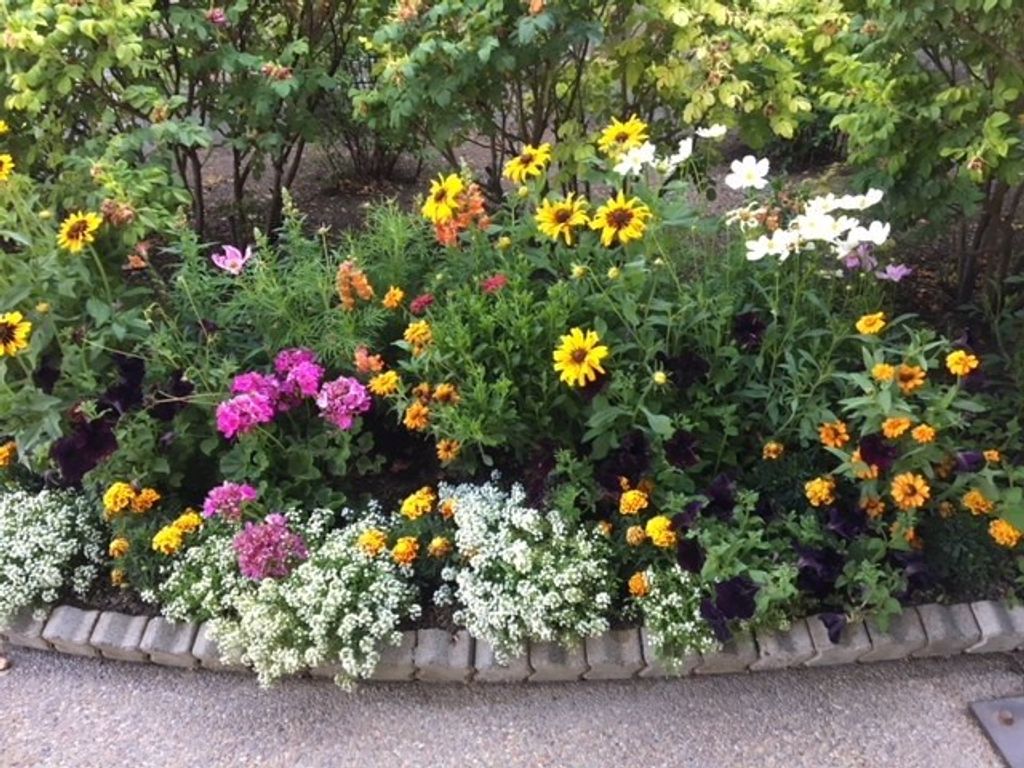 Photo of 107 Spyglass Hill Loop #Unit 1013 Wk 20, Columbia Falls, MT 59912 (MLS # 30023515)