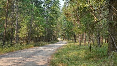 Tiny photo for 551 12th Avenue NW, Columbia Falls, MT 59912 (MLS # 30075470)