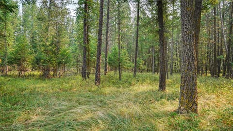 Tiny photo for 551 12th Avenue NW, Columbia Falls, MT 59912 (MLS # 30075470)