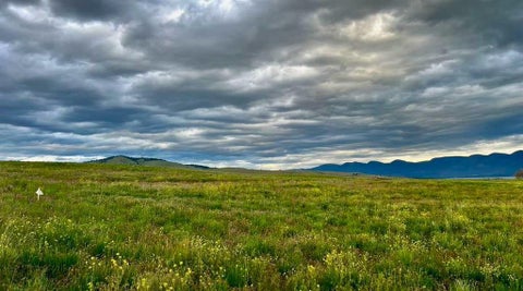 Tiny photo for TBD Lot #1 Tower Road, Polson, MT 59860 (MLS # 30072133)