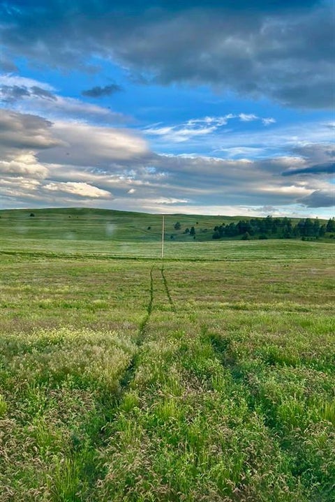 Tiny photo for TBD Lot #1 Tower Road, Polson, MT 59860 (MLS # 30072133)
