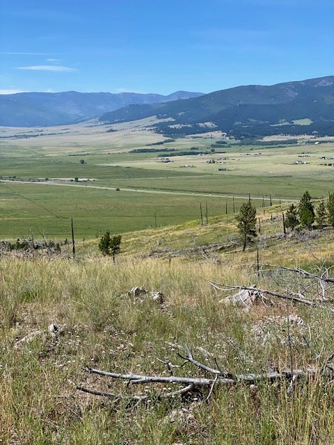 Photo of East Helena, MT 59635 (MLS # 30075365)
