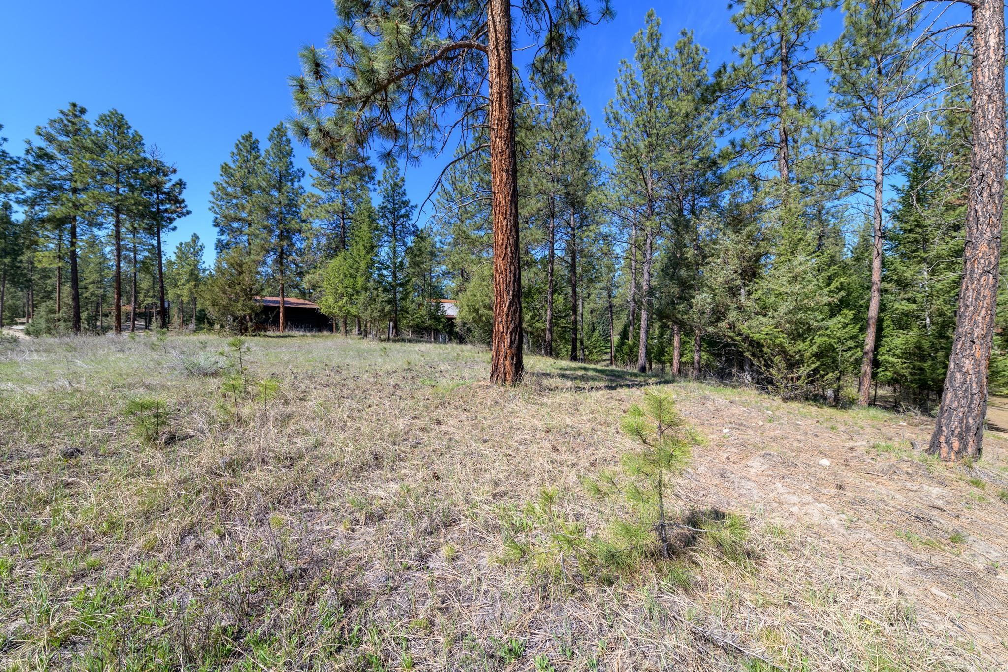 750 Wilderness Club Drive