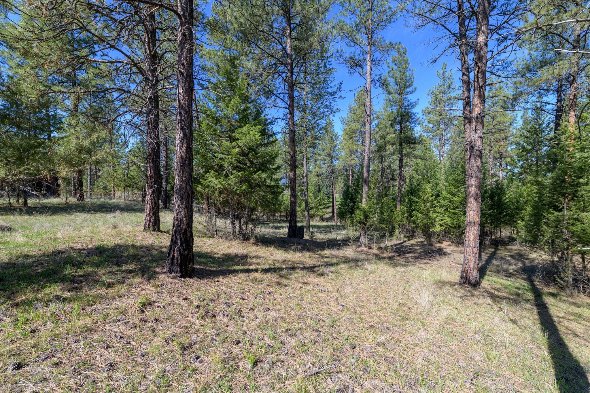 750 Wilderness Club Drive