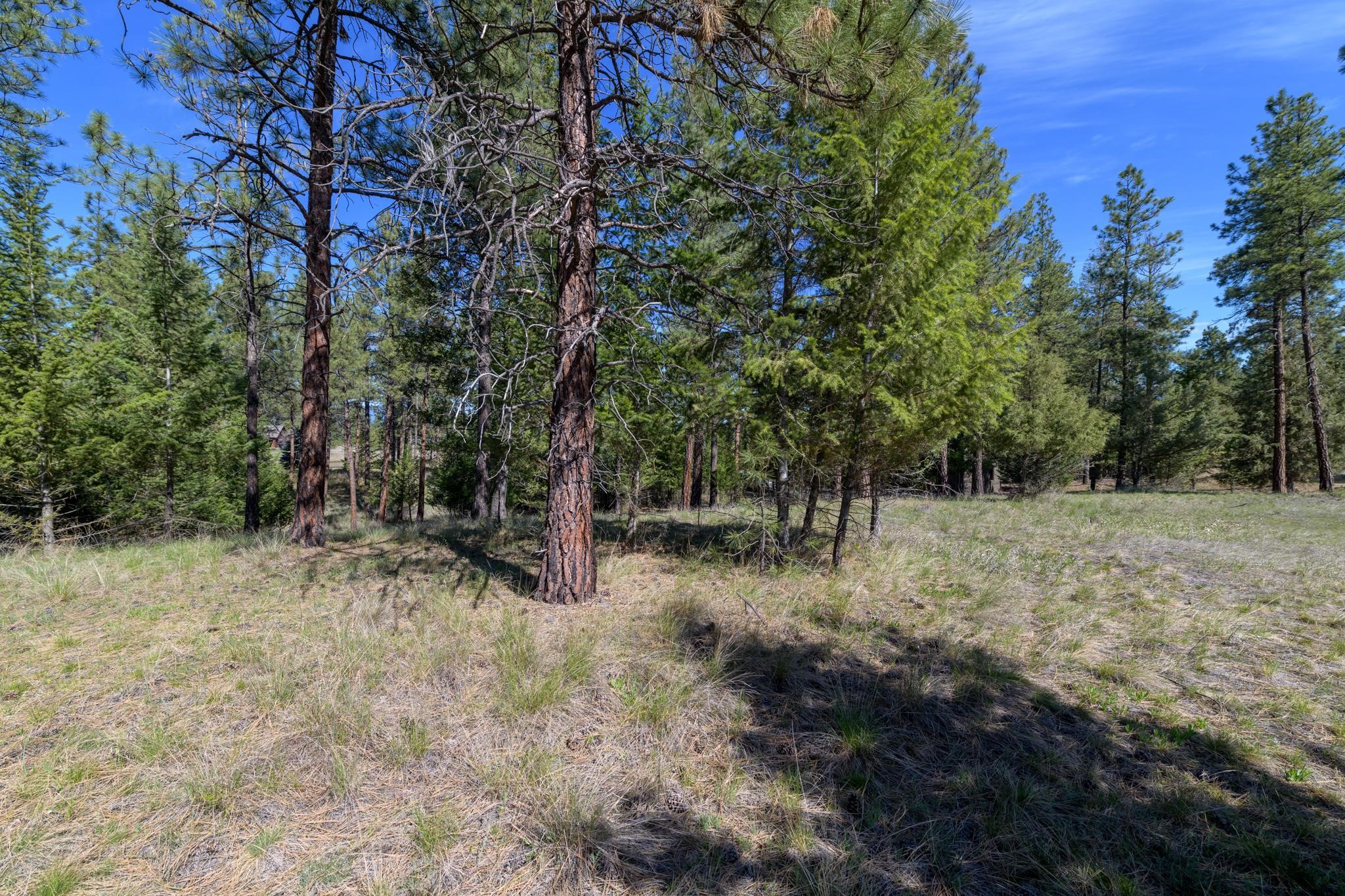 750 Wilderness Club Drive