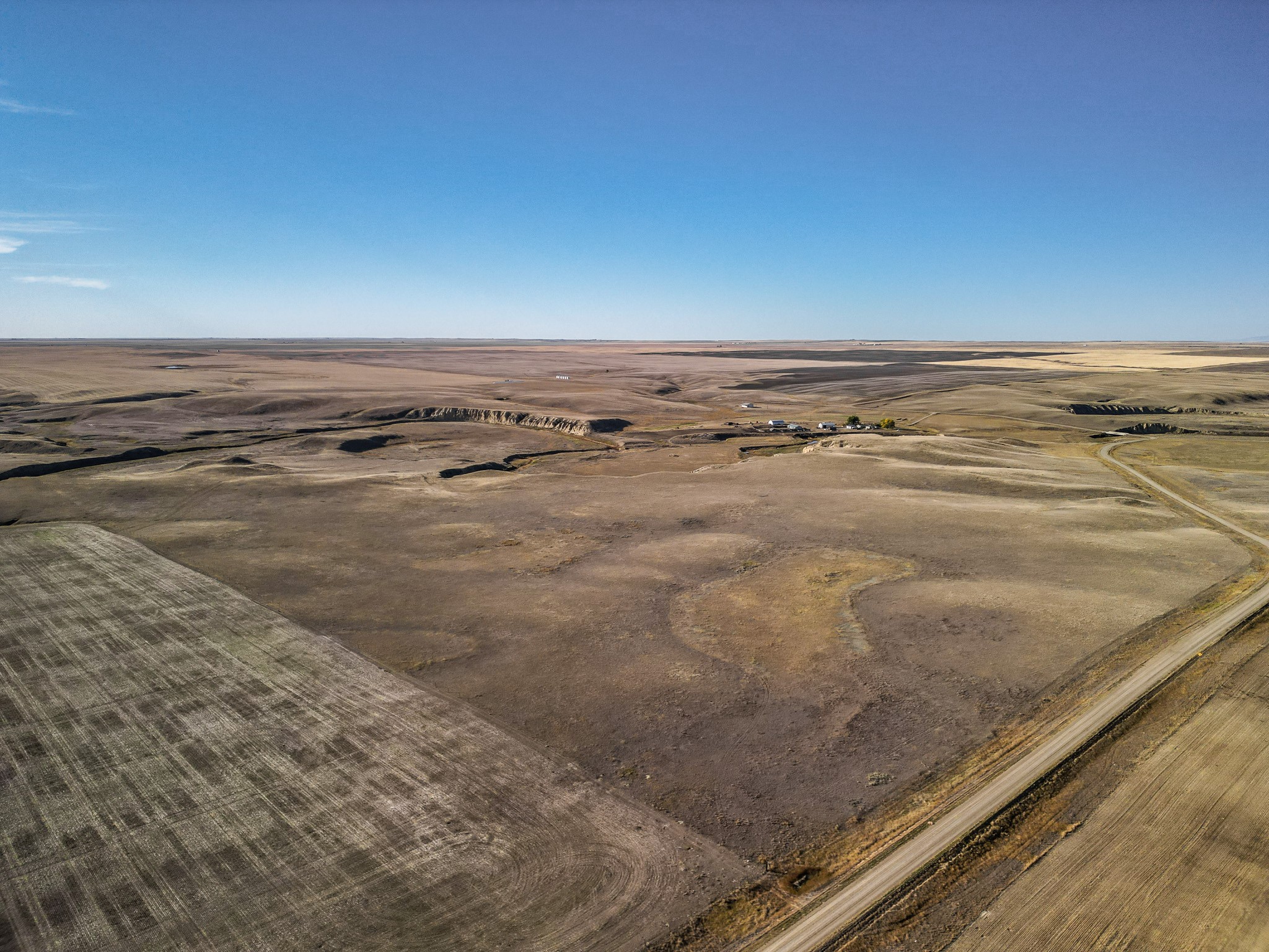 TBD Selma Road