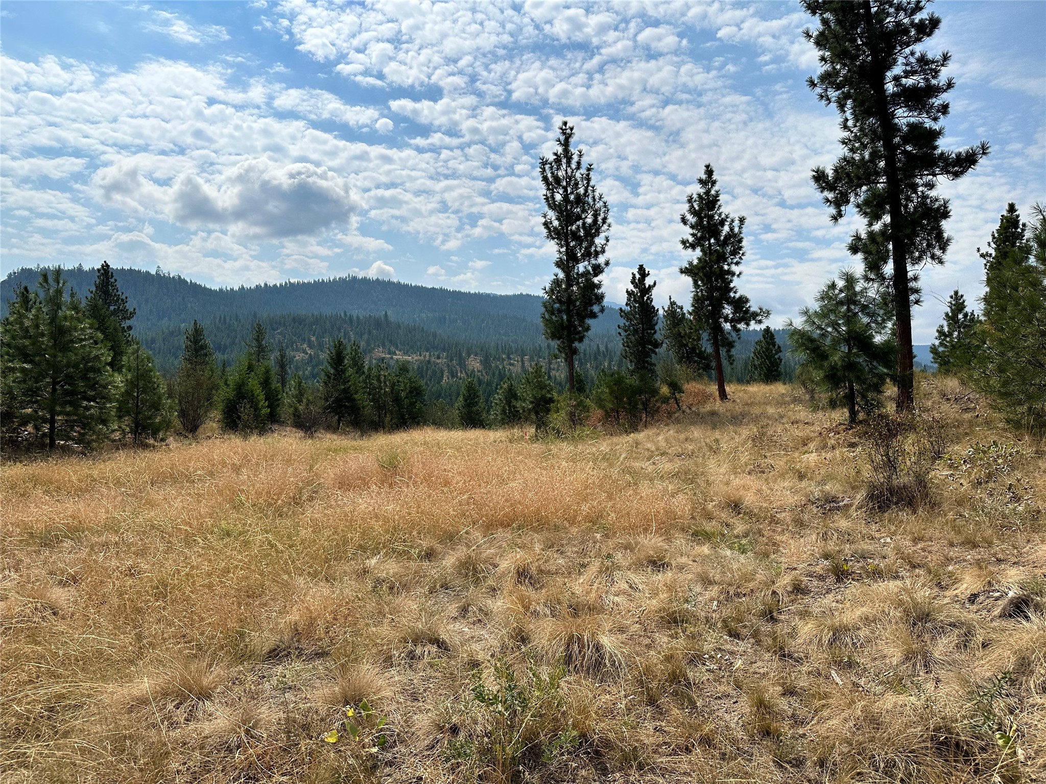 36 Bighorn Bluff Loop